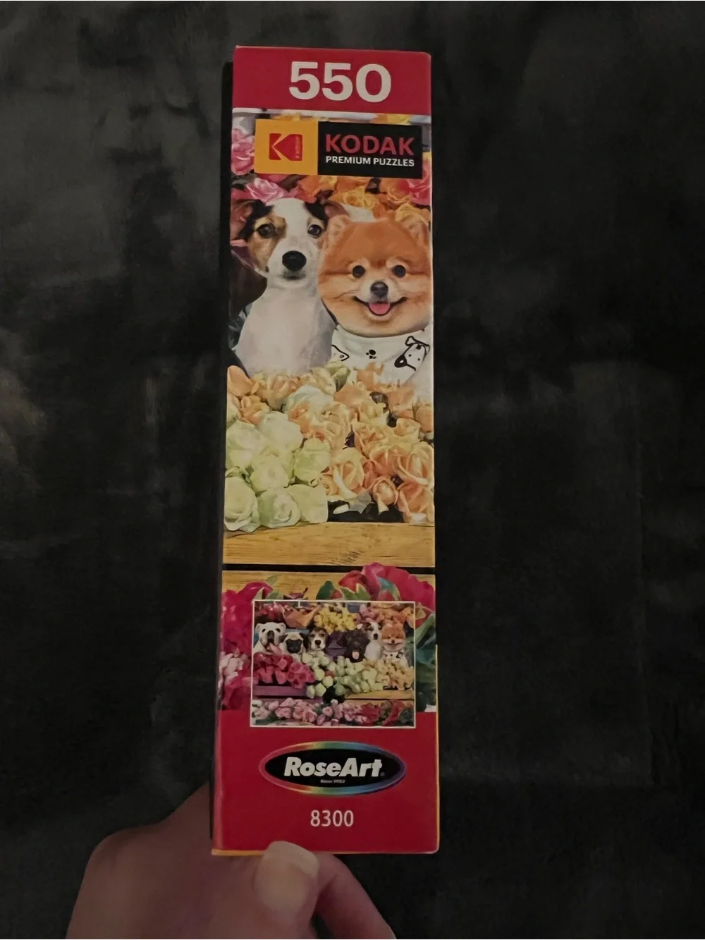 Kodak vibrant 550